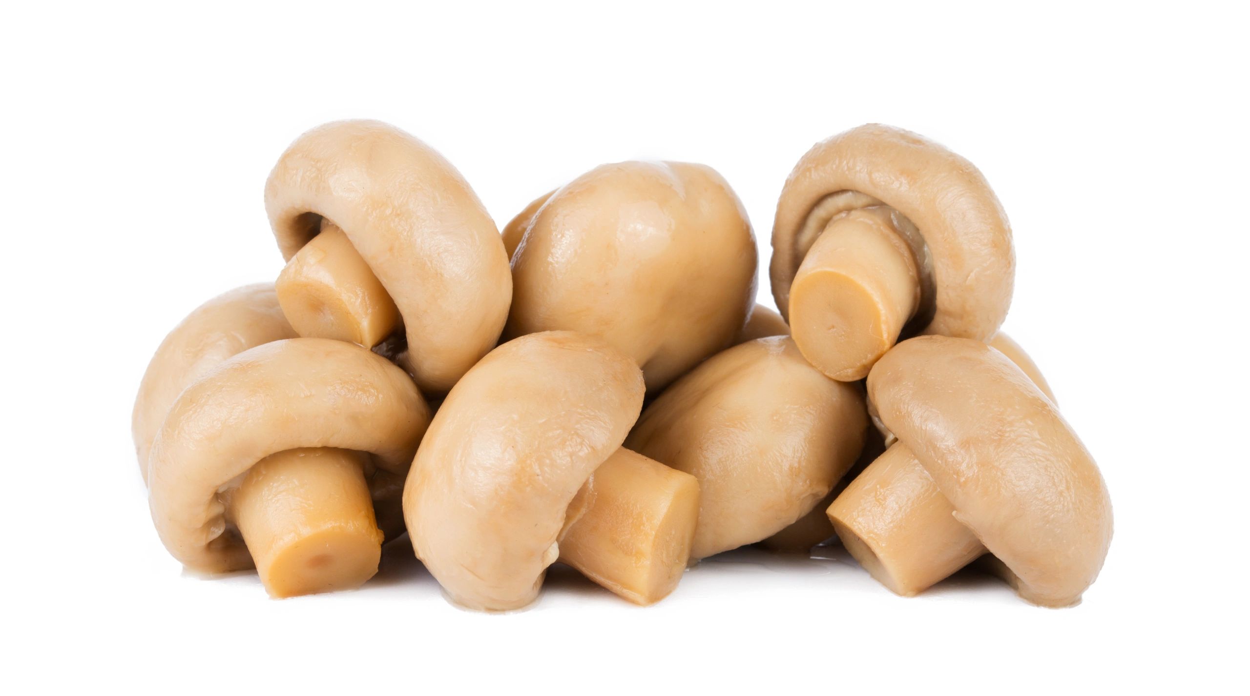 CSA mushroom box